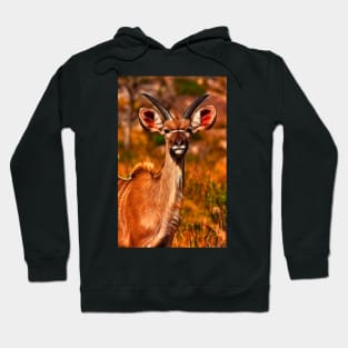 Young Kruger Kudu Hoodie